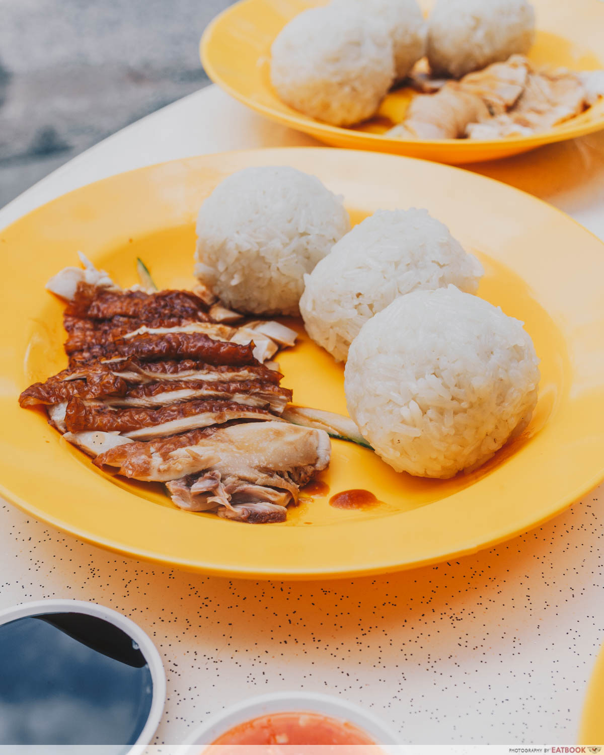 Qi Lin Xuan Chicken Rice - Roasted chicken rice