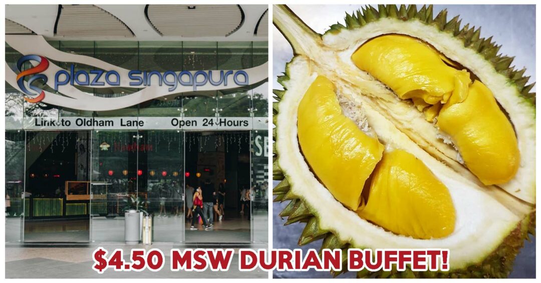 plaza singapura durian buffet cover