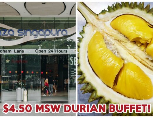 plaza singapura durian buffet cover