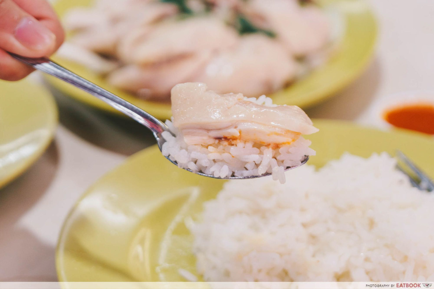 Hua Kee Chicken Rice - Steamed Chicken Closeup