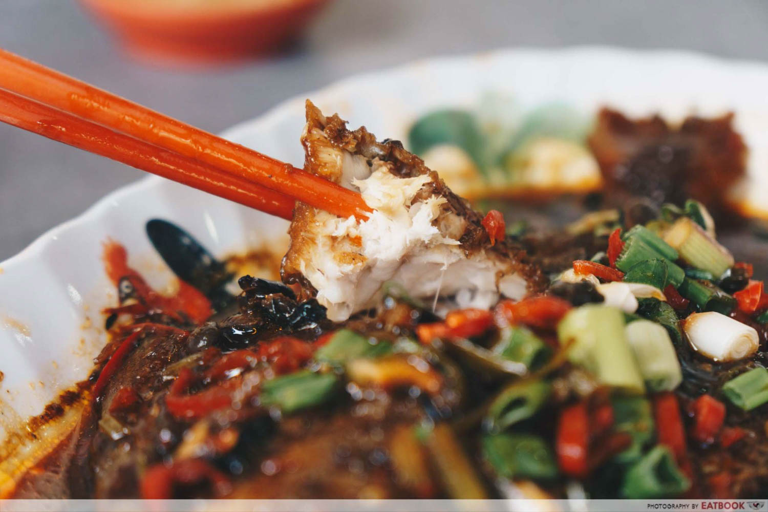 White House Teochew Porridge - Fish meat