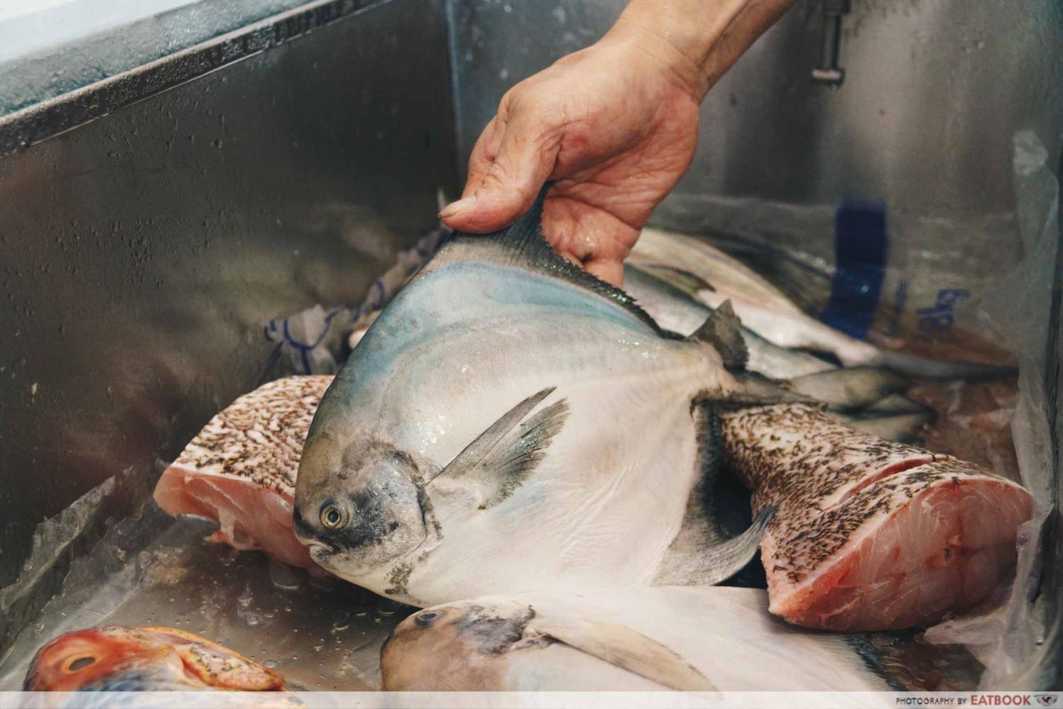 White House Teochew Porridge - Fresh fish