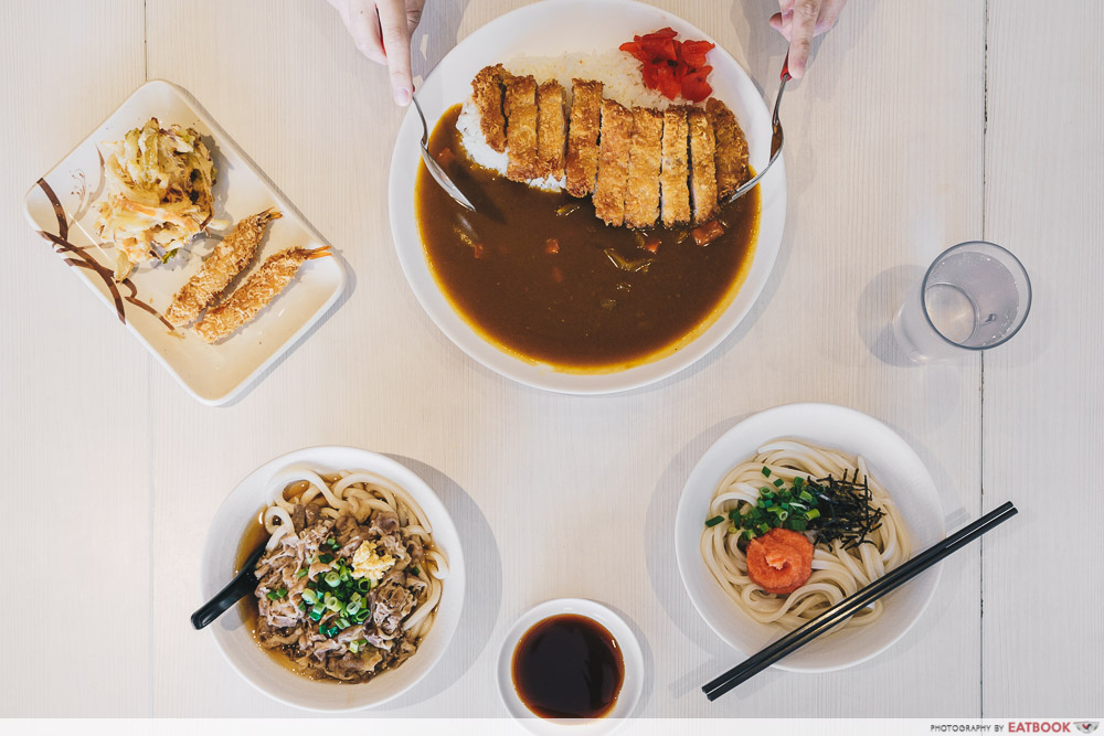 Flatlay of udon and curry chicken rice