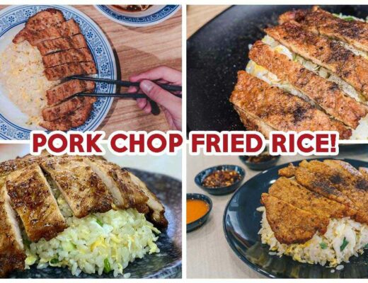 pork chop fried rice cover