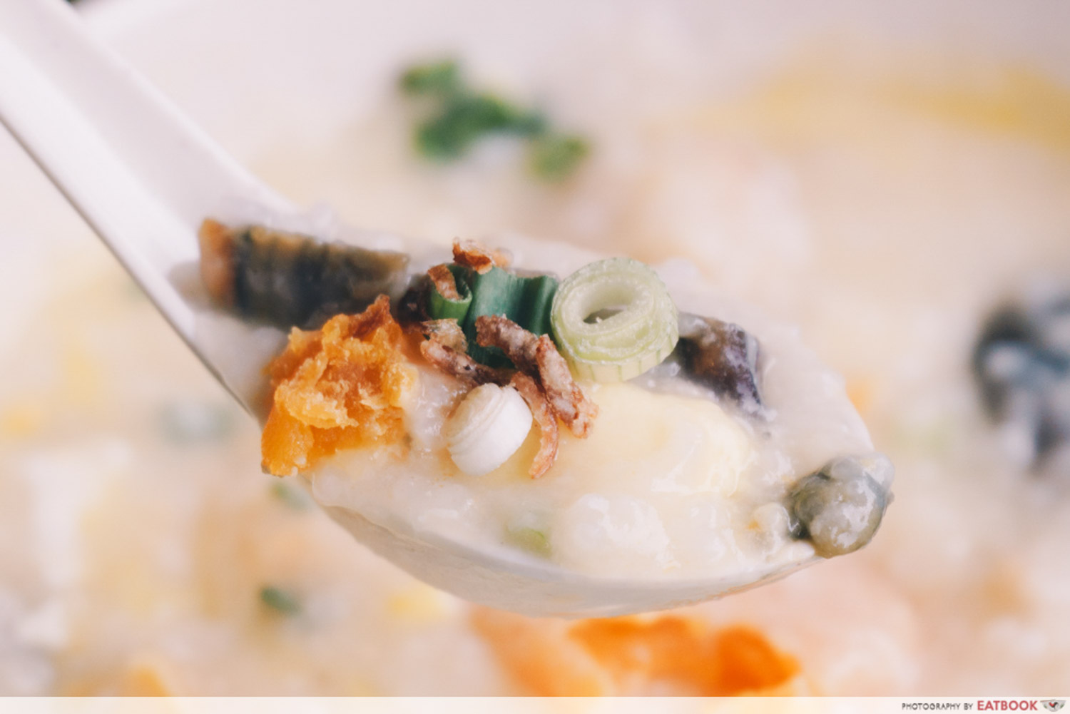 Weng Kiang Kee Porridge - Egg spoon