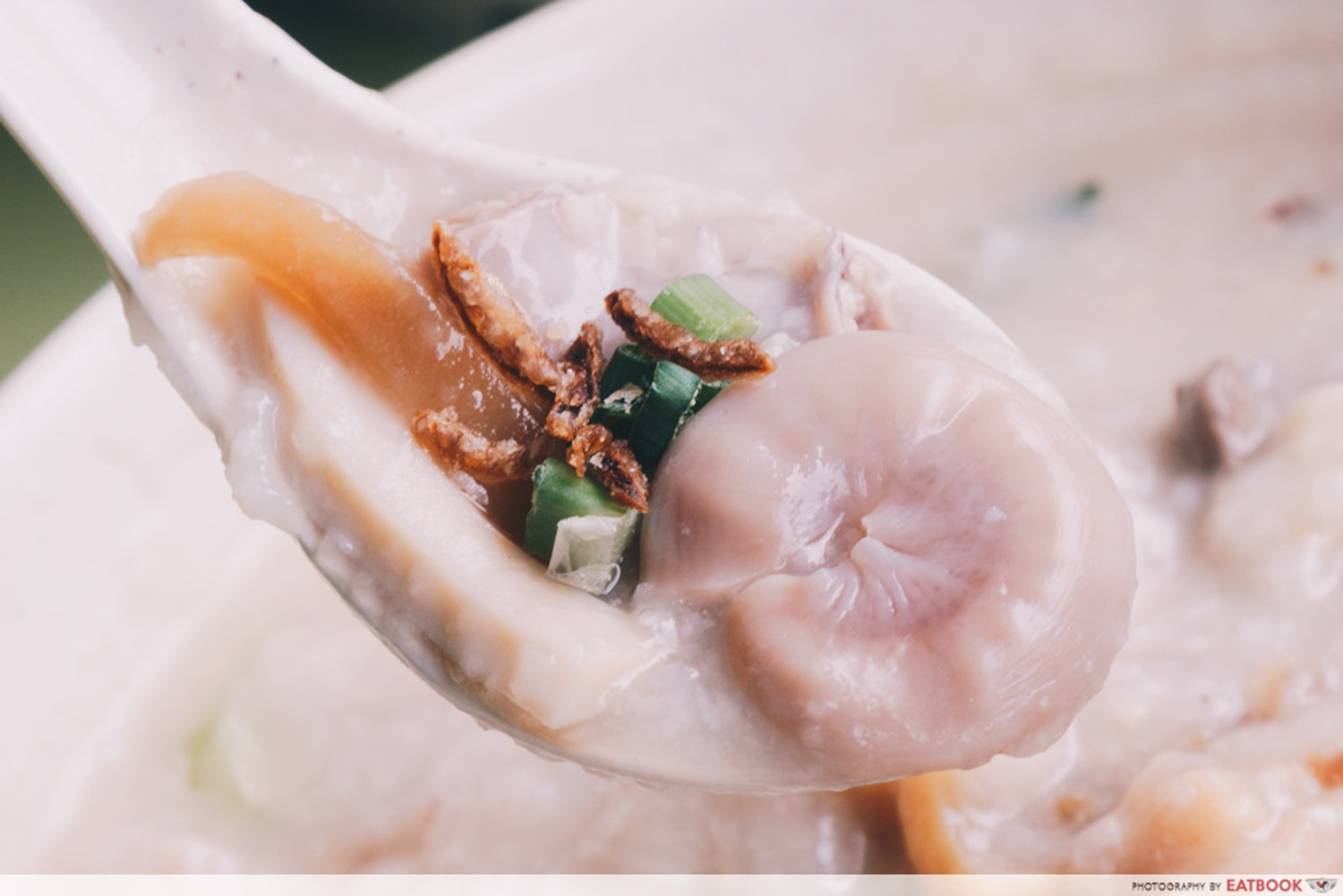 Weng Kiang Kee Porridge - Intestine spoon