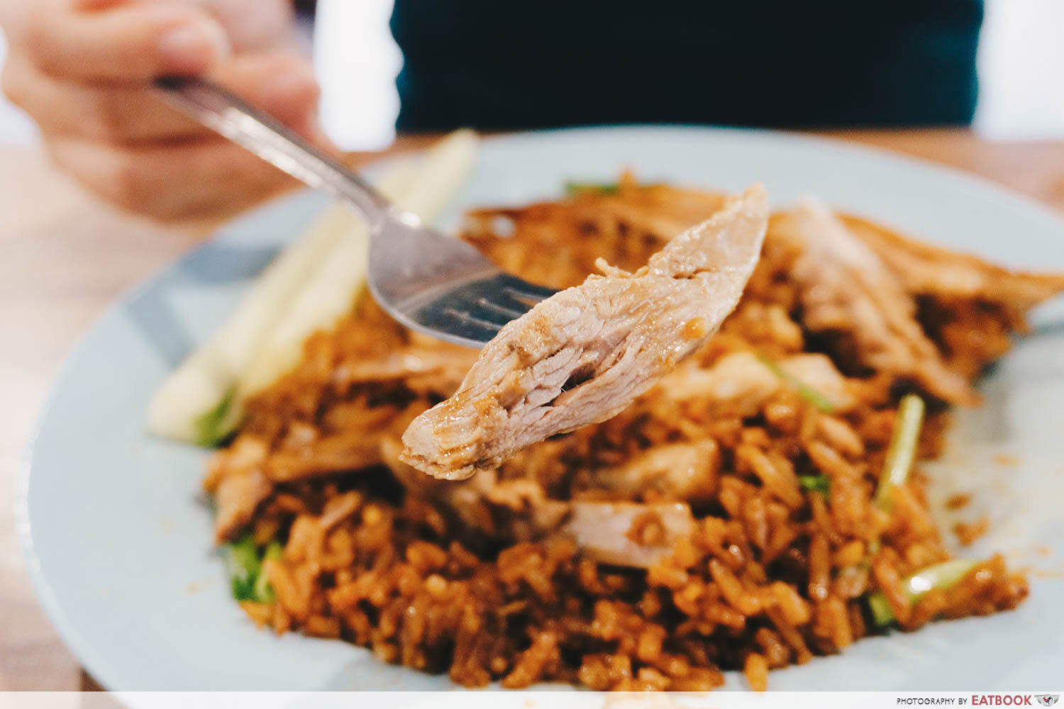 Cheok Kee - Braised duck