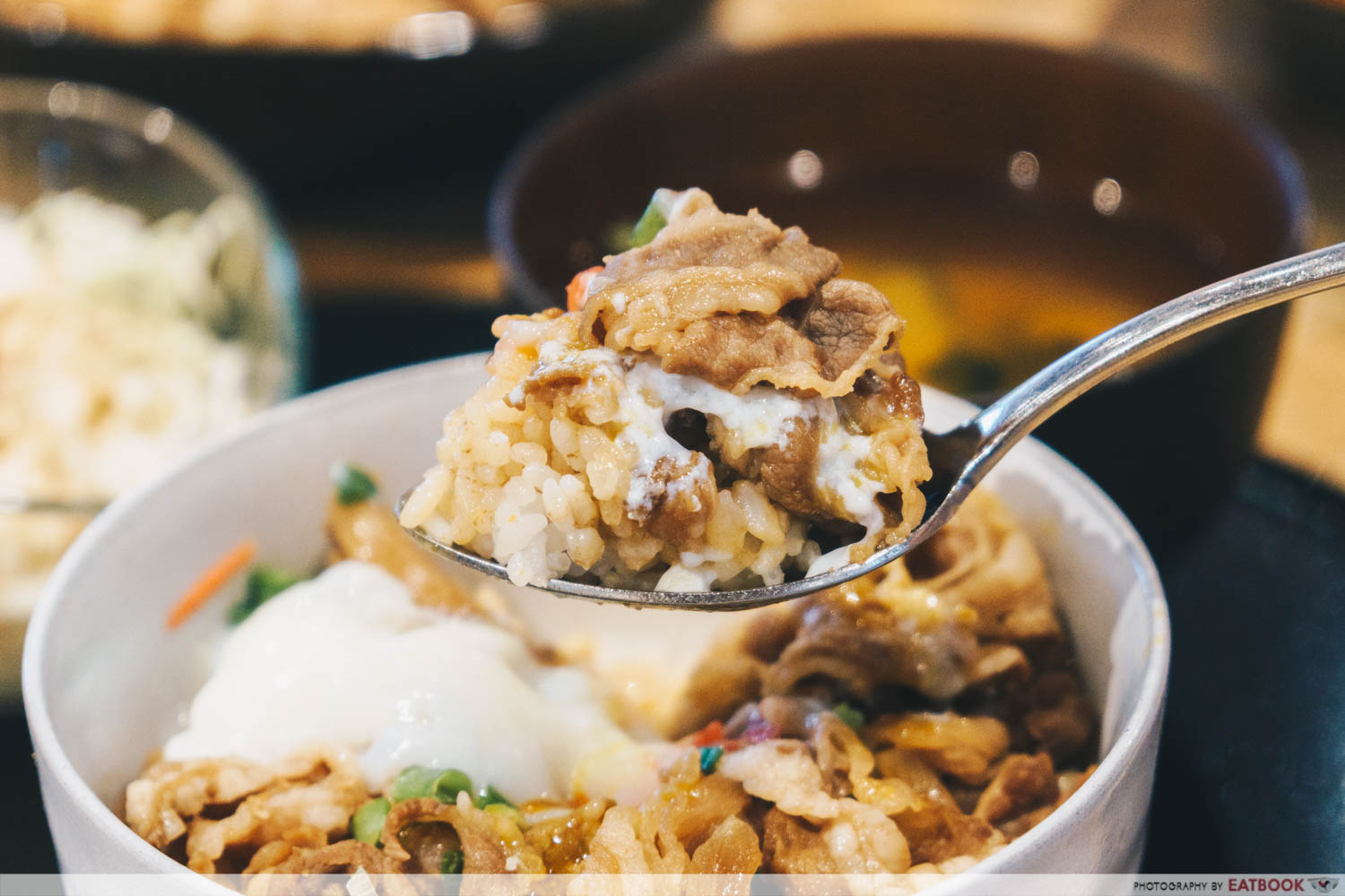 Gyudon & Onsen Tamago Set