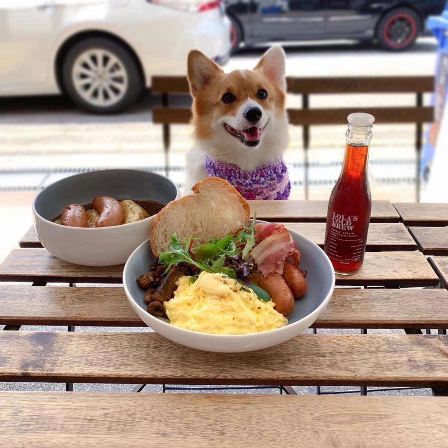8 PetFriendly Cafes In Singapore With Food For Both You And Your Dog
