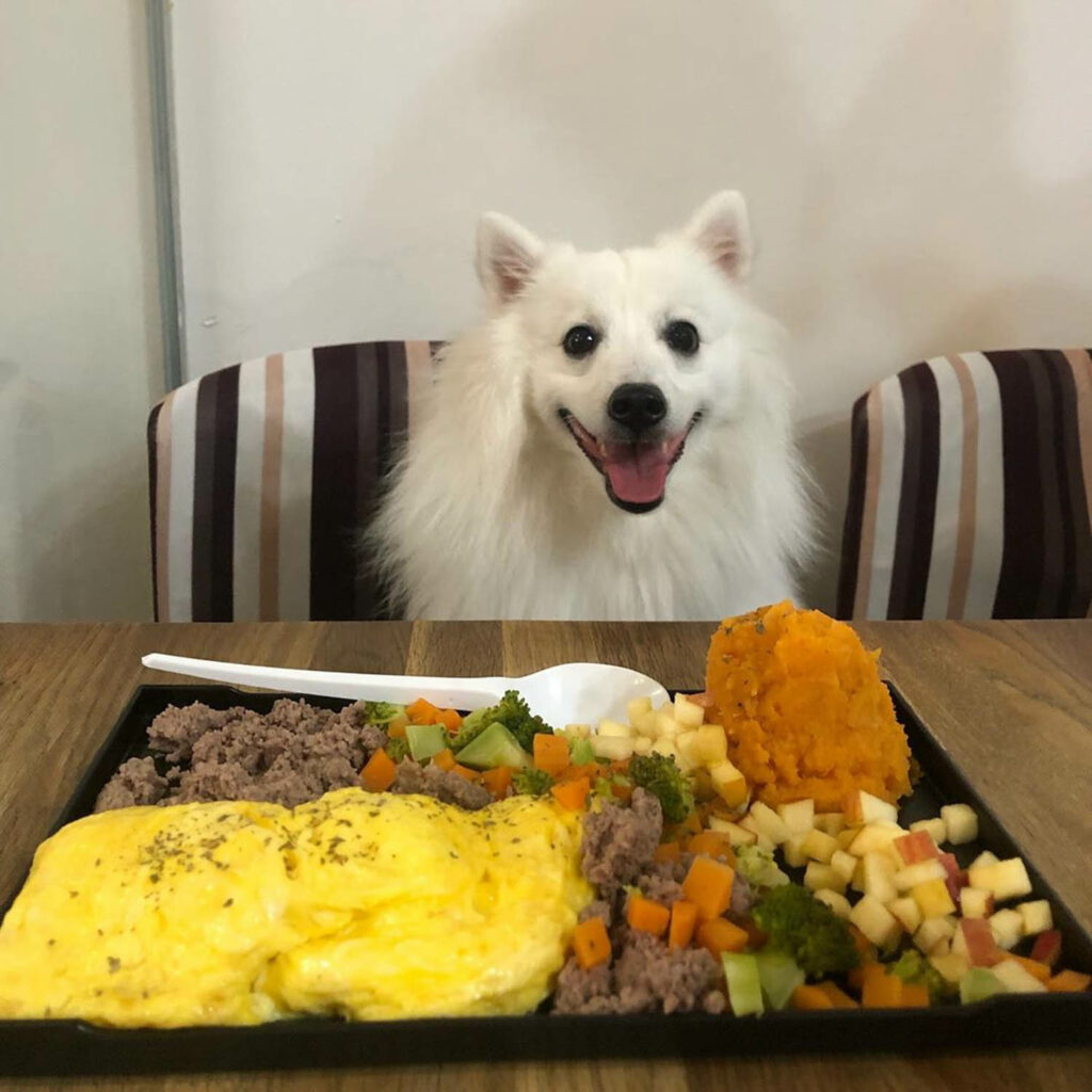 Pet-Friendly Cafe - Sun Ray Cafe dog