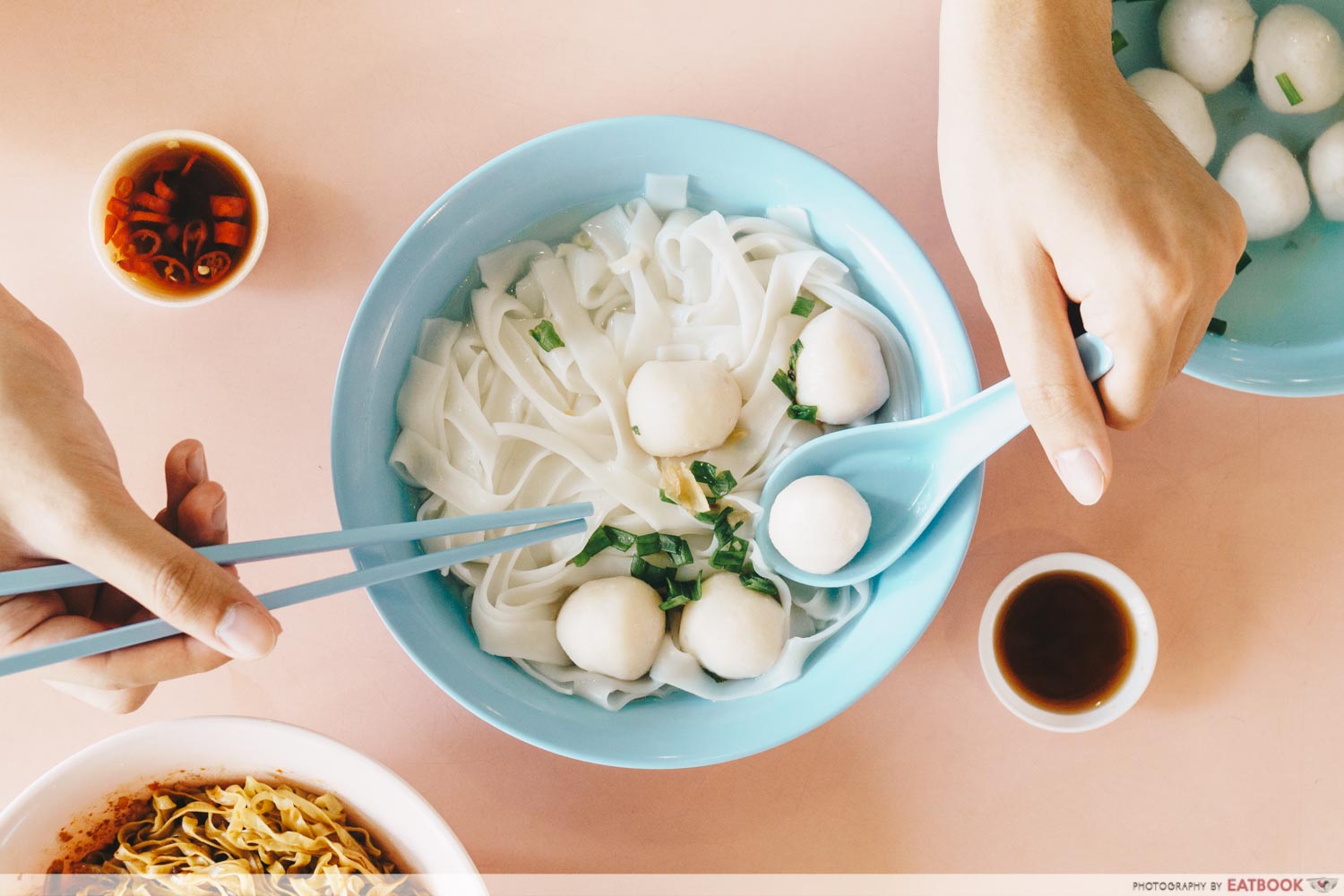 Fishball Noodles Soup