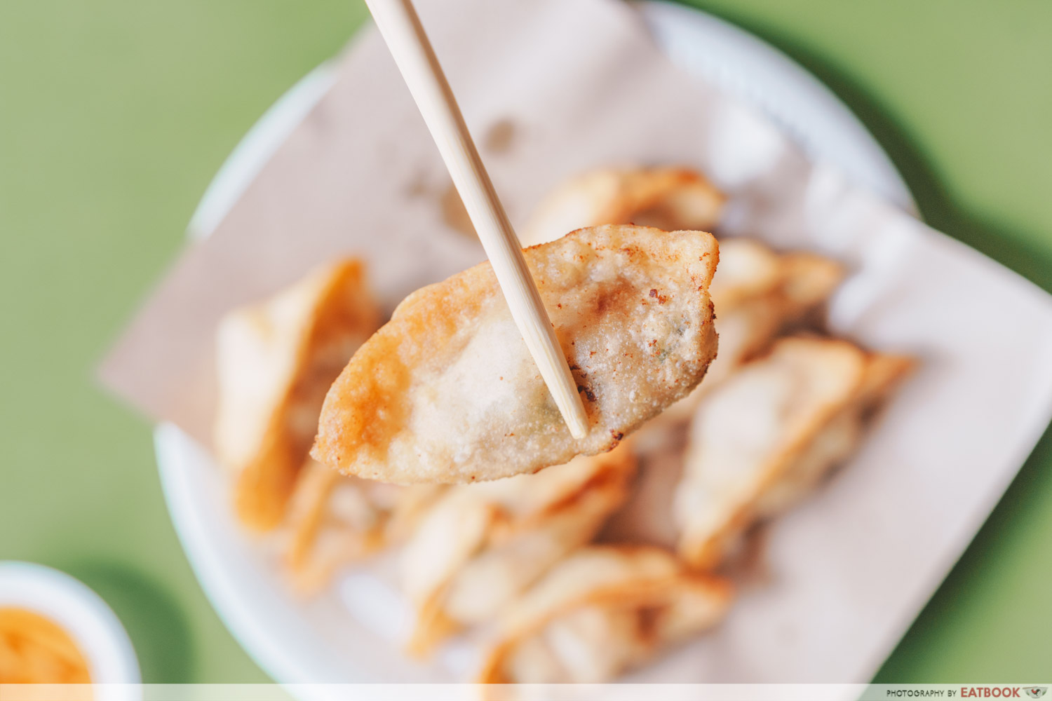 Tong Xin Ju Special Shanghai Tim Sum-Close-up of dumpling