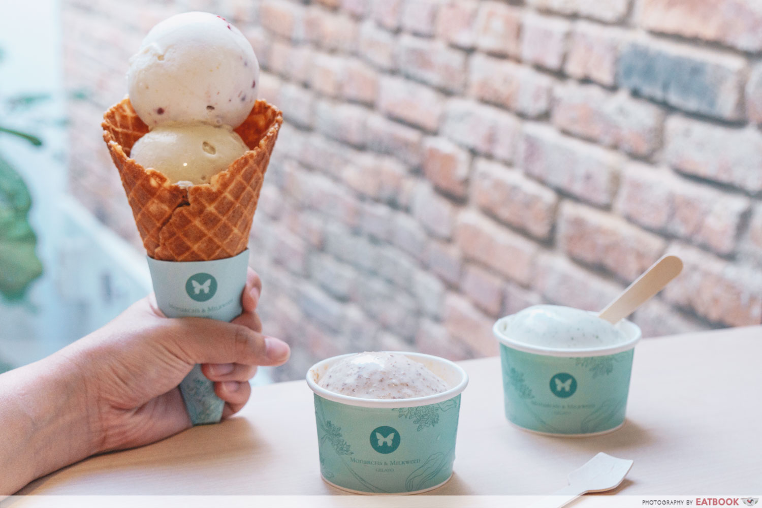 Monarchs & Milkweed Gelato - Flatlay