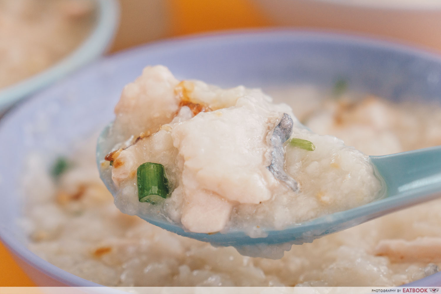 Soon Lee Porridge - Spoonful of fish and porridge