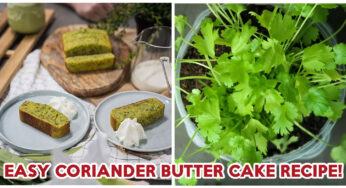 Coriander Butter Cake Recipe: Quick And Easy Recipe For #TeamCoriander