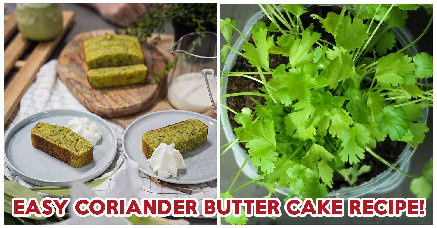 Coriander Butter Cake - Feature Image