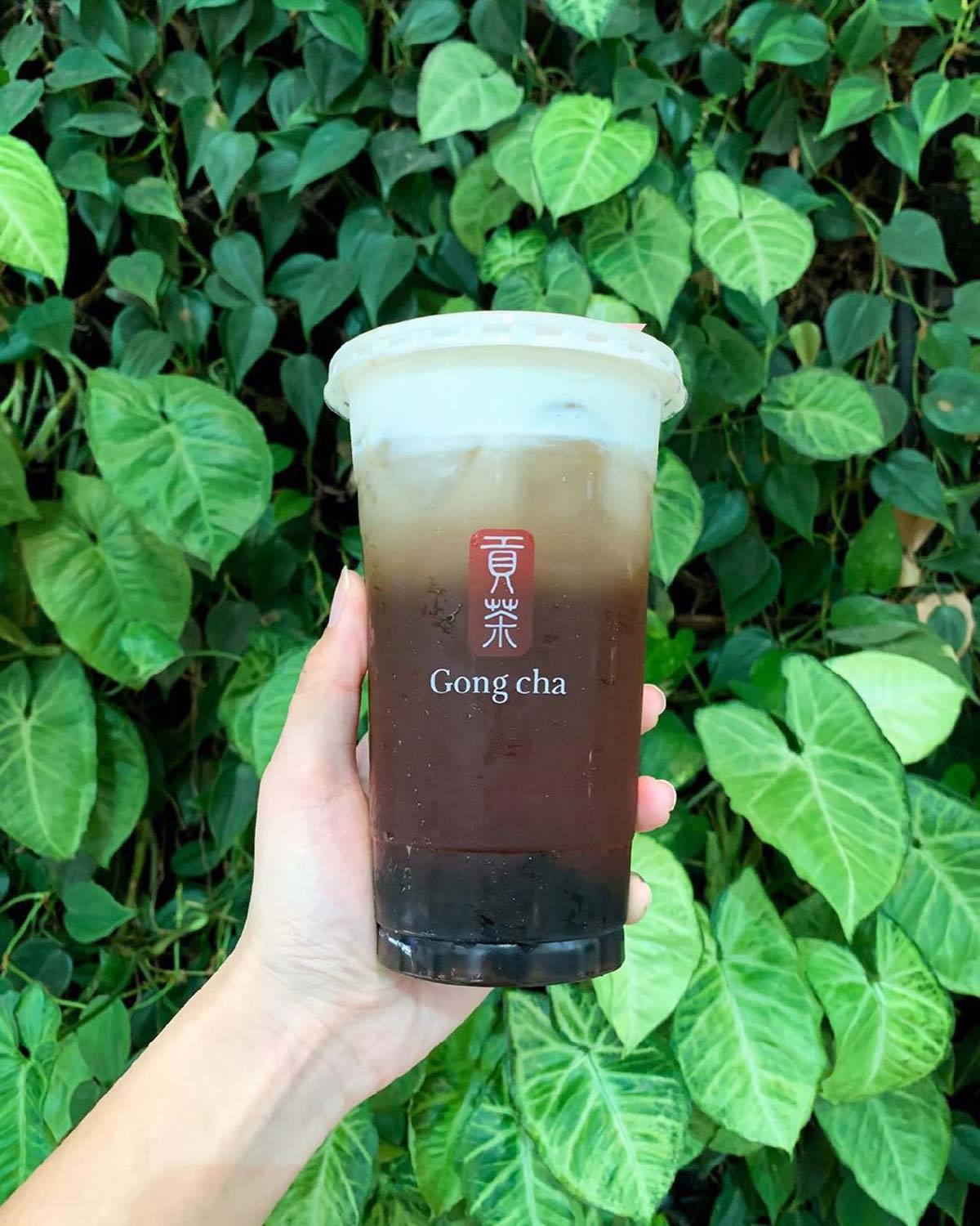 LiHO & Gong Cha Options - Gong Cha