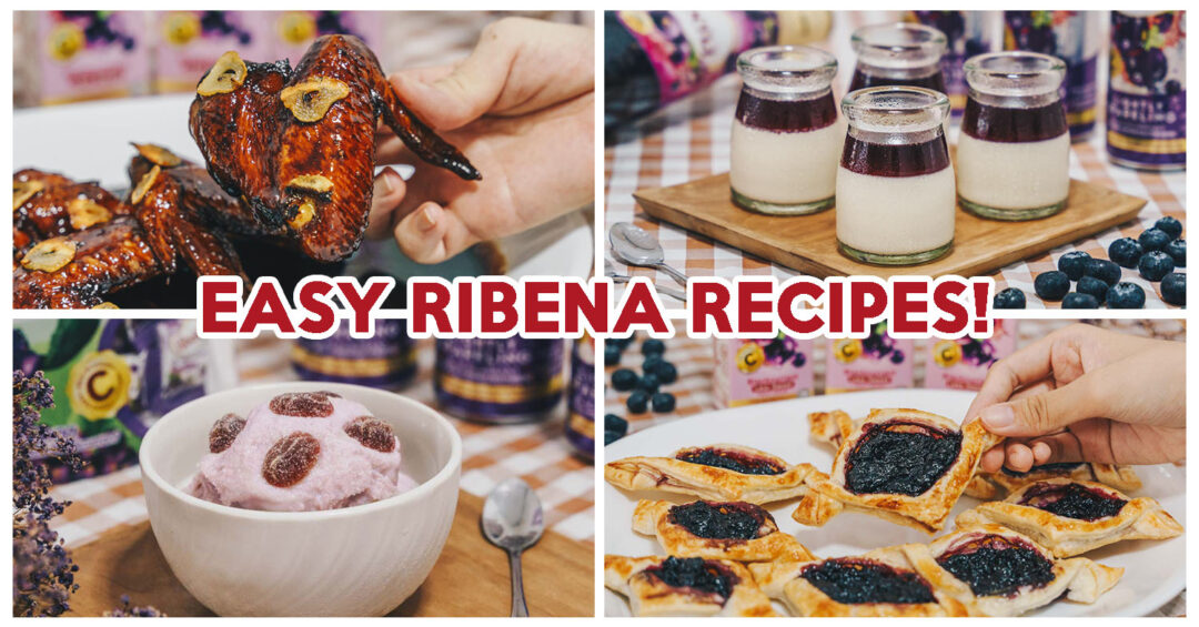 Ribena Recipes - Feature Image