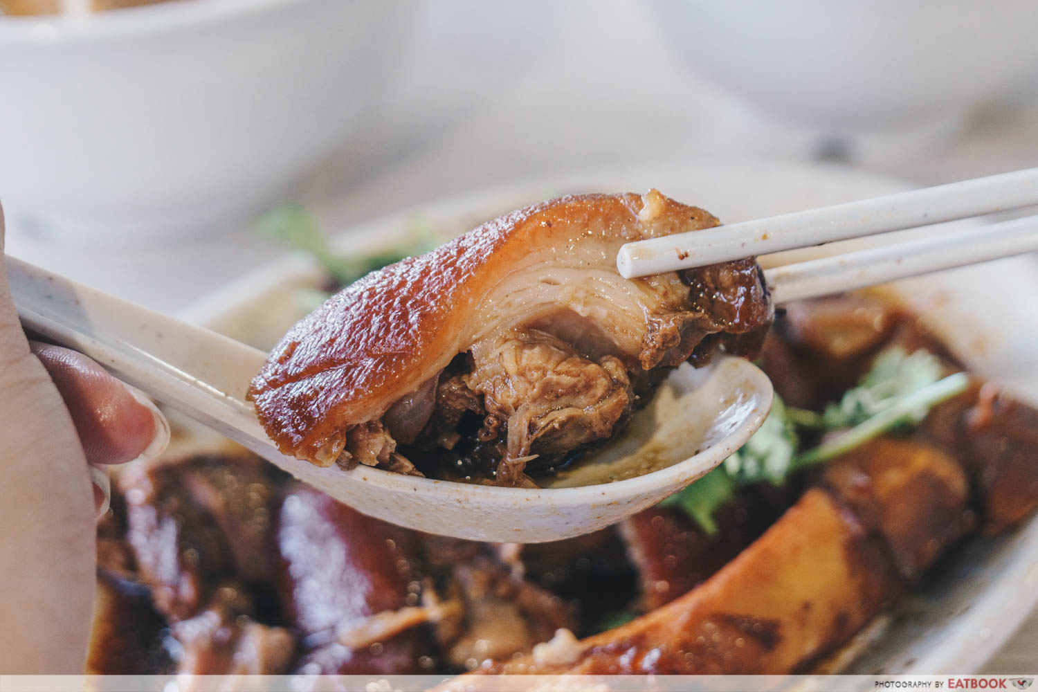 Yan Ji Seafood Soup - Pig Trotters Closeup