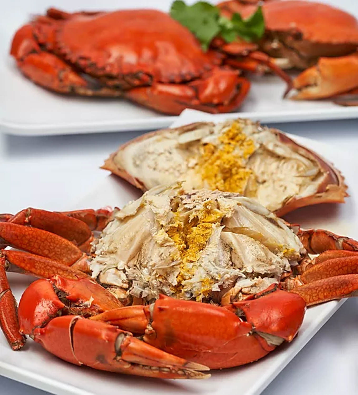 1-for-1 boston lobster - teochew cold crab