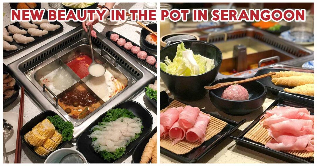 Beauty In The Pot Feature Image