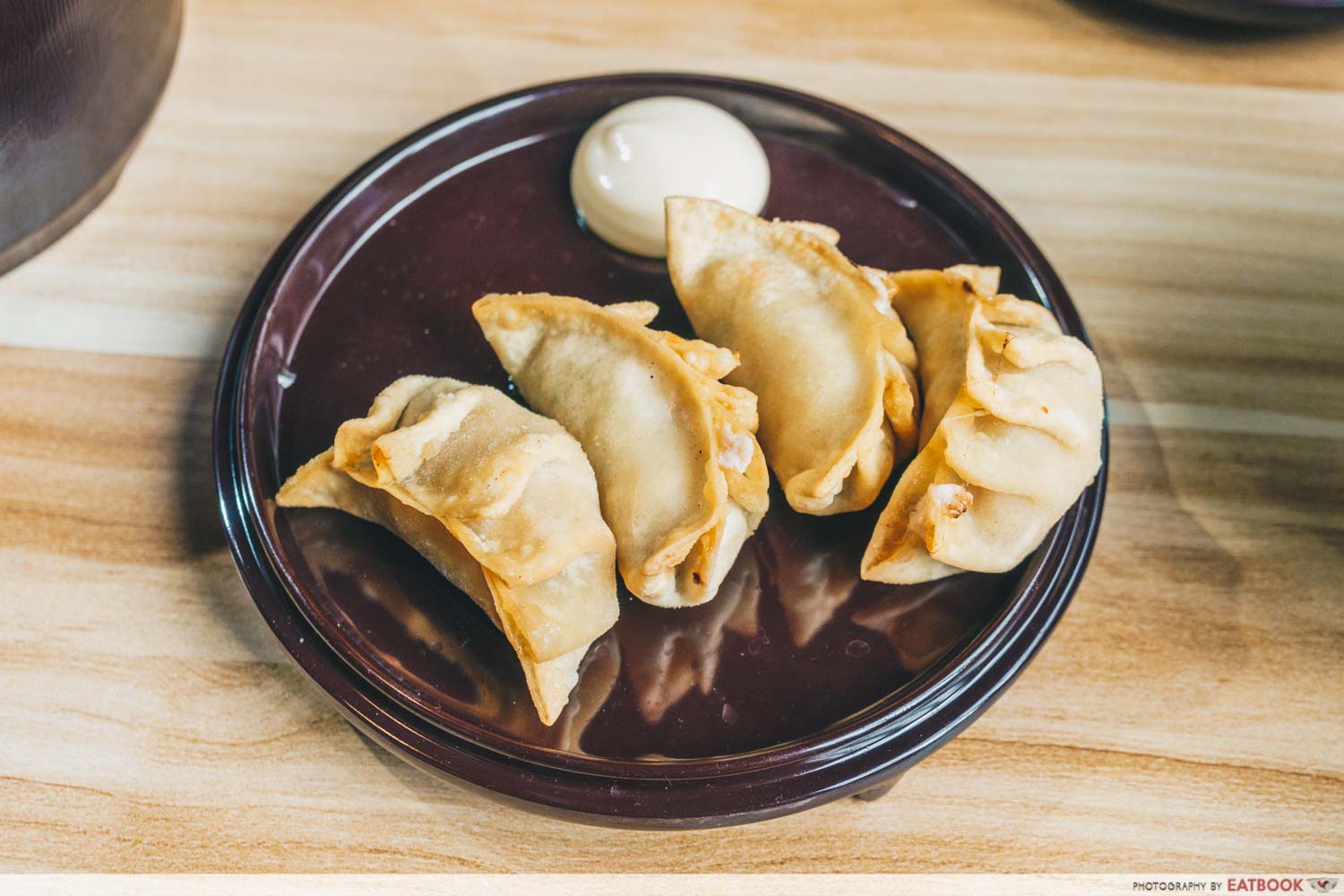 Deep Fried Gyoza