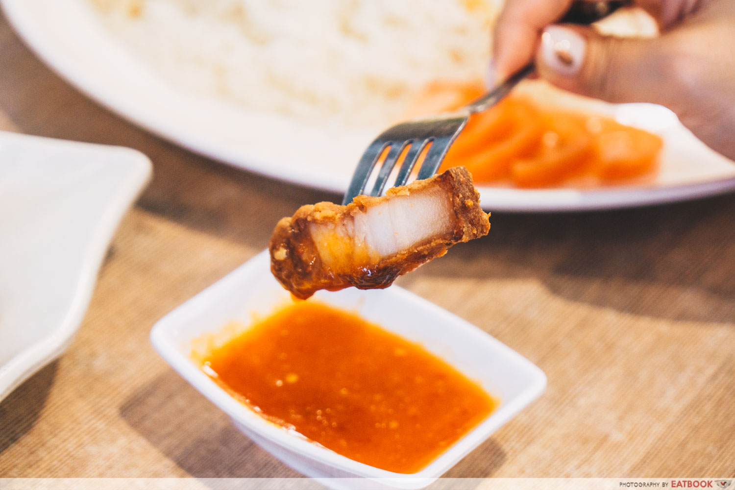 New Teck Kee Chicken Rice - deep fried pork