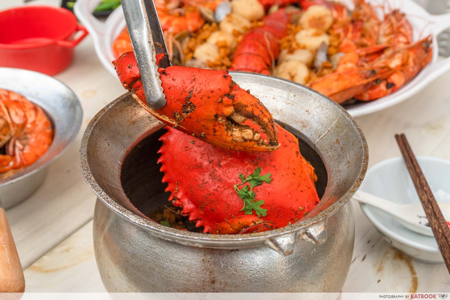 Shrimp Prawn Seafood - dog mother crab