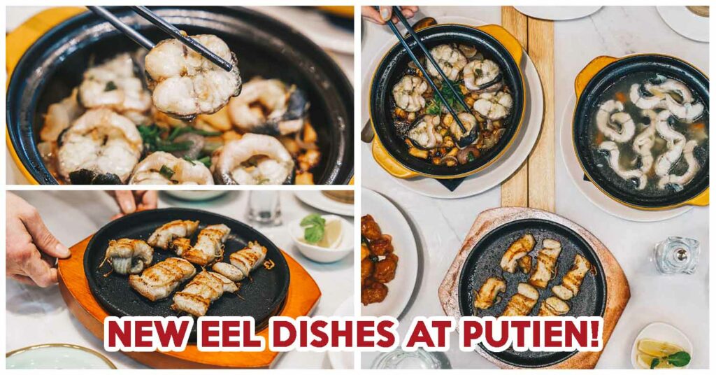 putien eels