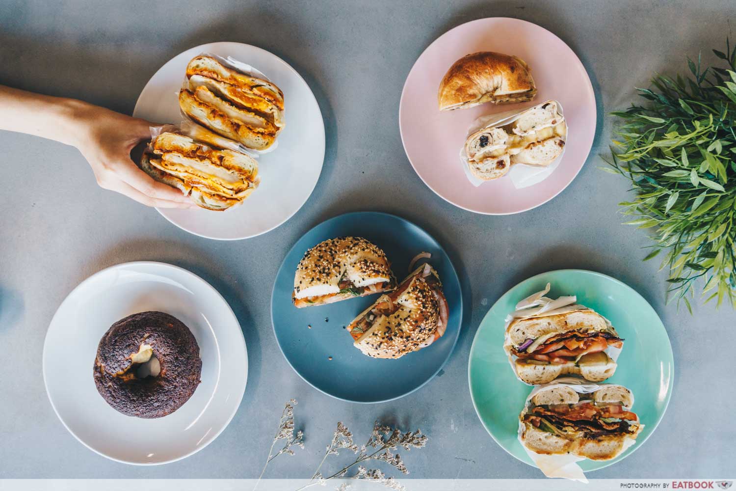 able bagel - flatlay of bagels