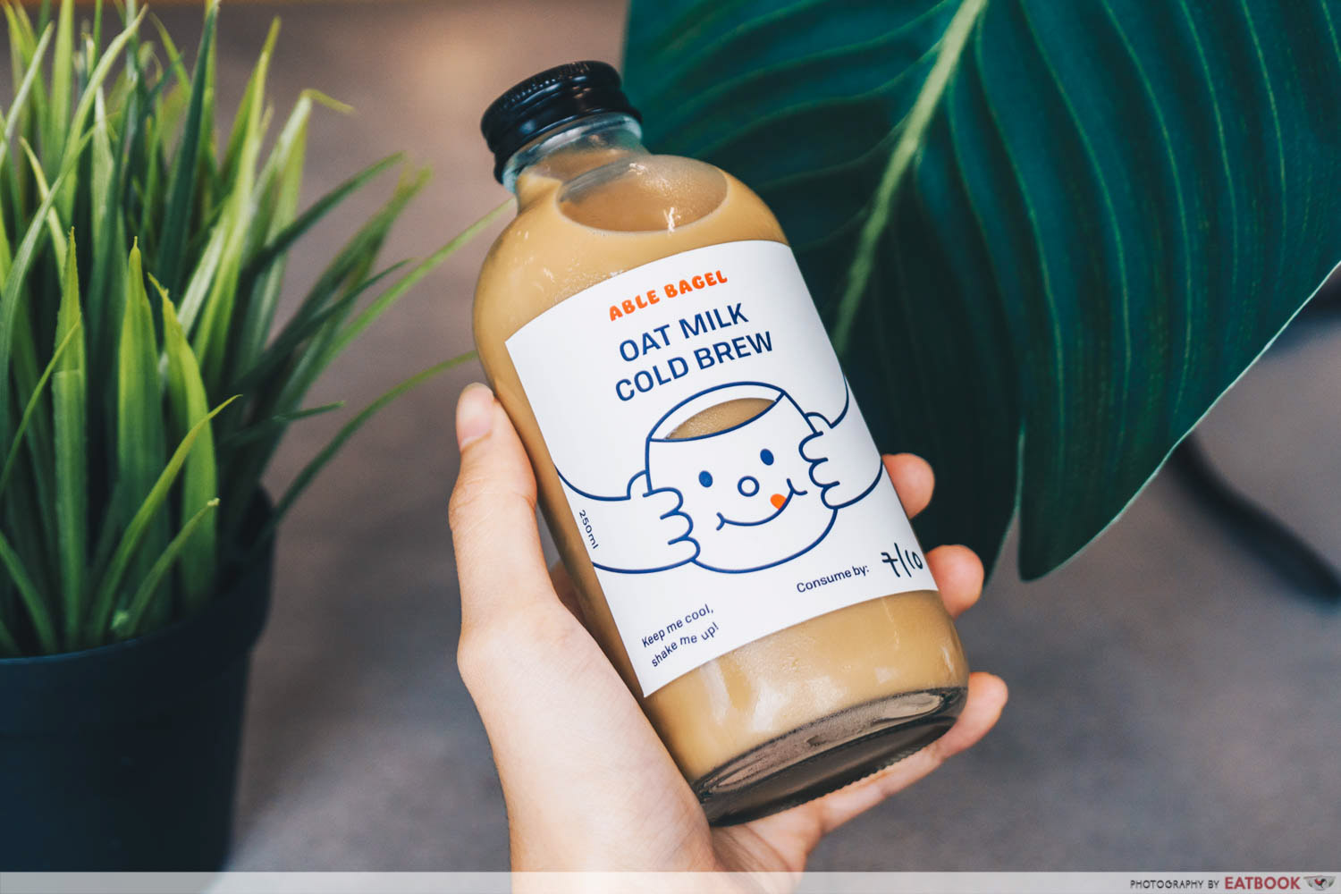 able bagel - oat milk cold brew