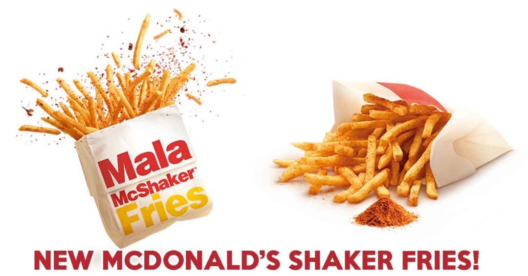 new mcdonalds shaker fries