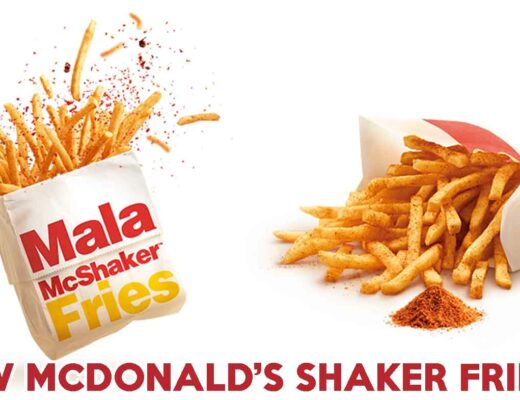 new mcdonalds shaker fries