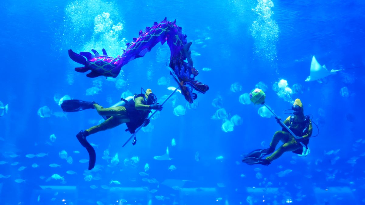 aqua gastronomy underwater dragon dance