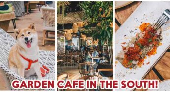 Canopy HortPark Review: Pet-Friendly Garden Cafe With Truffle Ikura Pasta And More