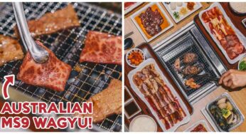 Yakiniku-GO Review: Yakiniku Joint In Seletar Mall Has Grilled Meats From $2.90++