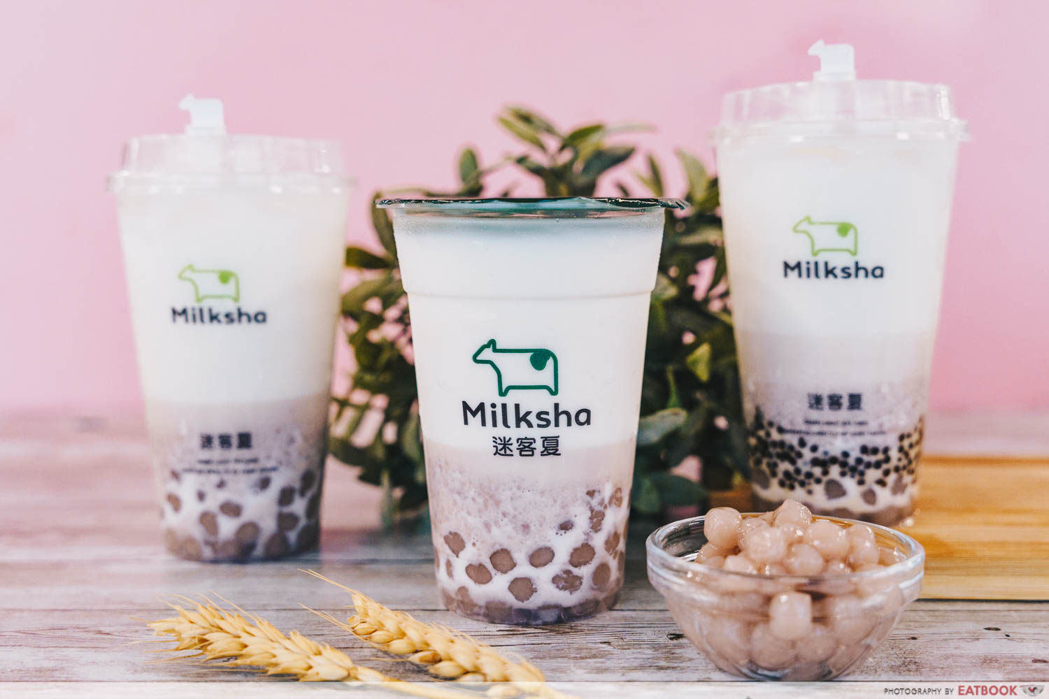 milksha taro cha cha