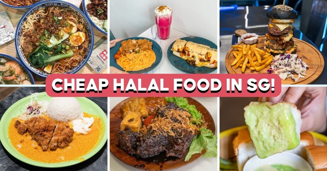 halal food cover