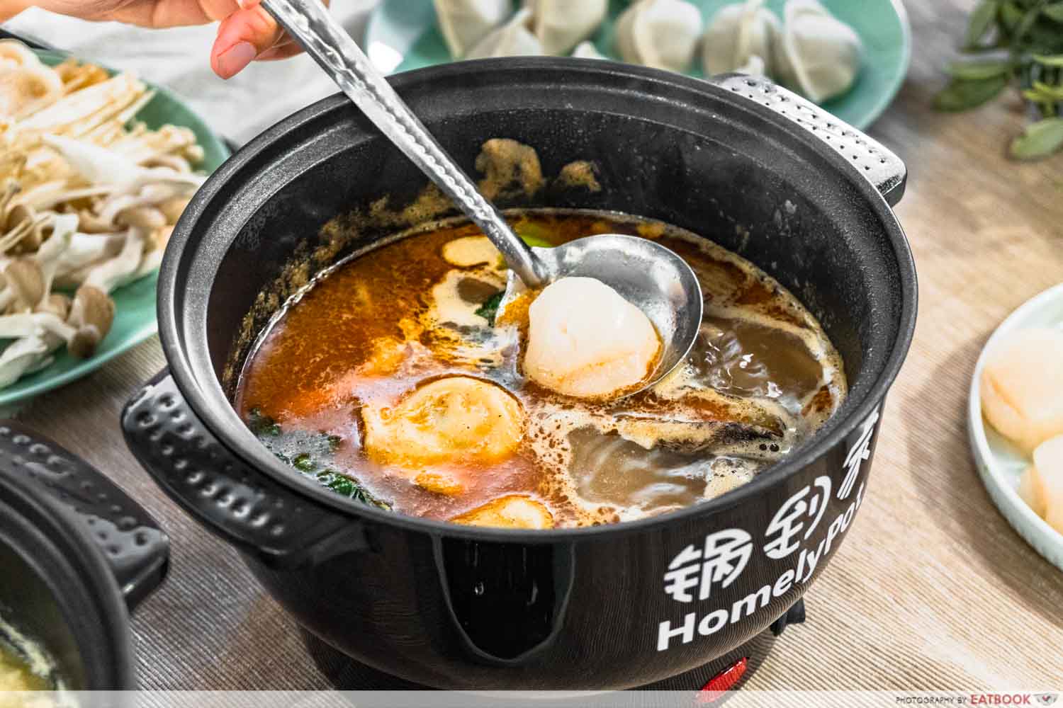 homelypot - scallop