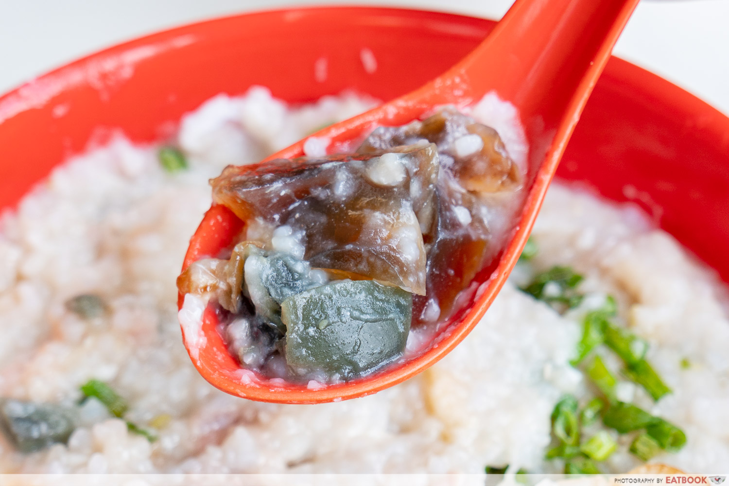 Johor Boon Kee Pork Porridge - century egg