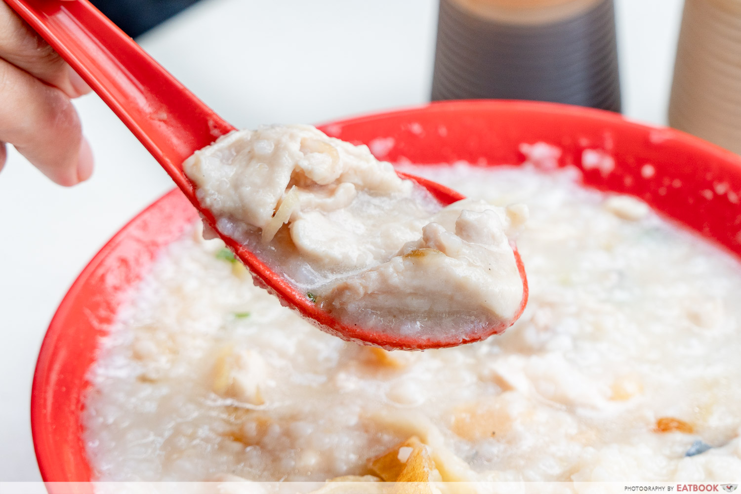 Johor Boon Kee Pork Porridge - slice chicken
