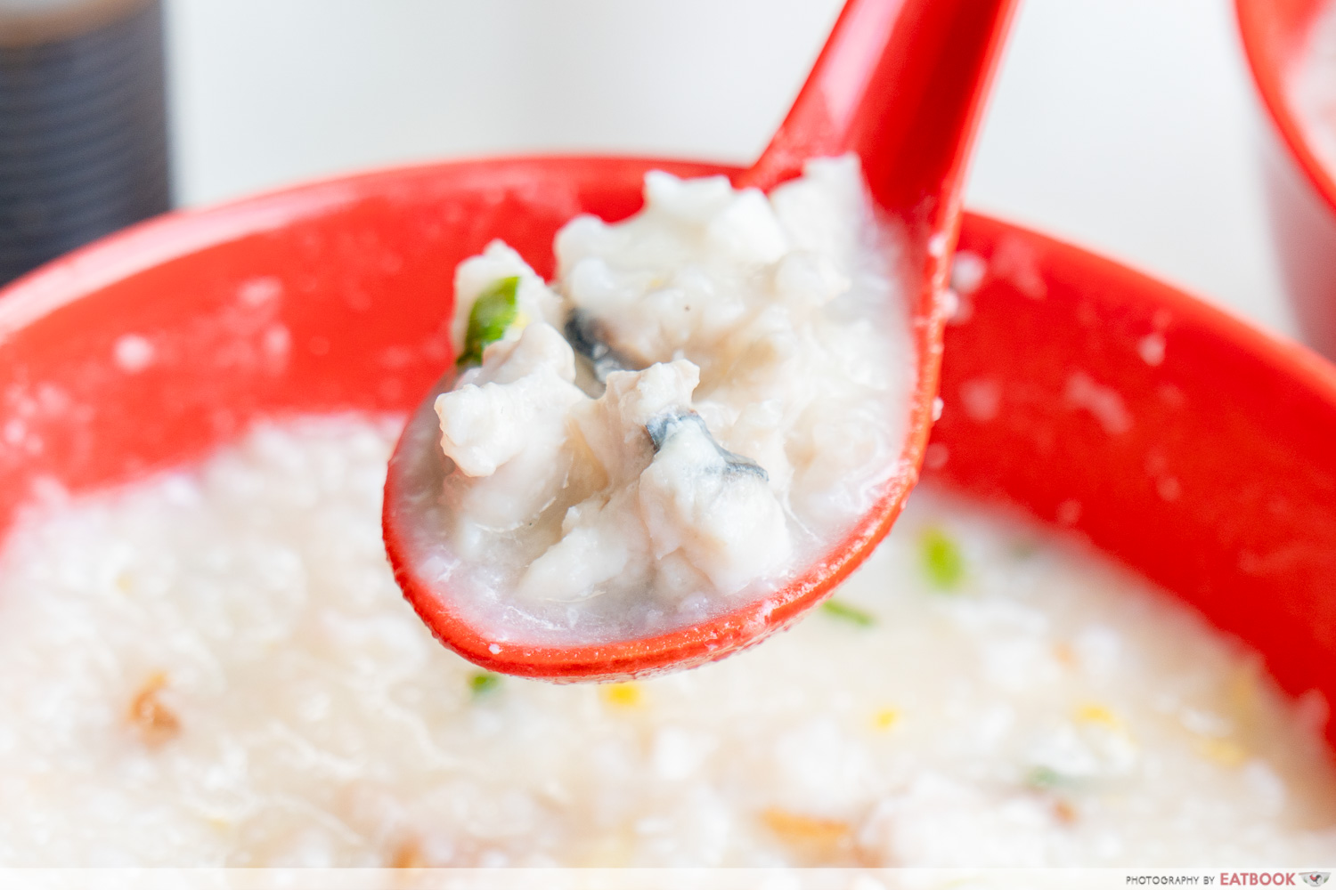 Johor Boon Kee Pork Porridge - slice fish