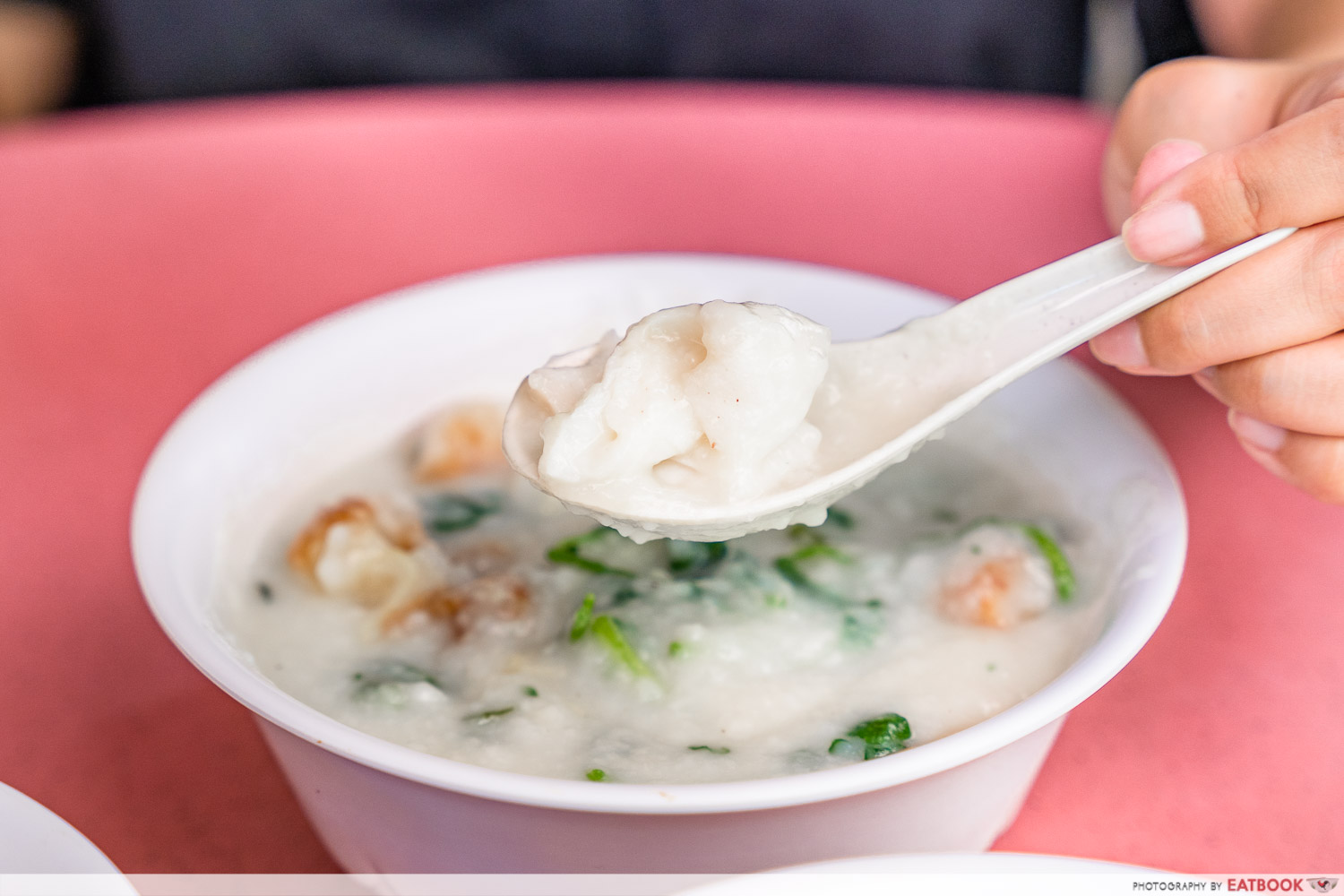Mei Jie Porridge - fish porridge