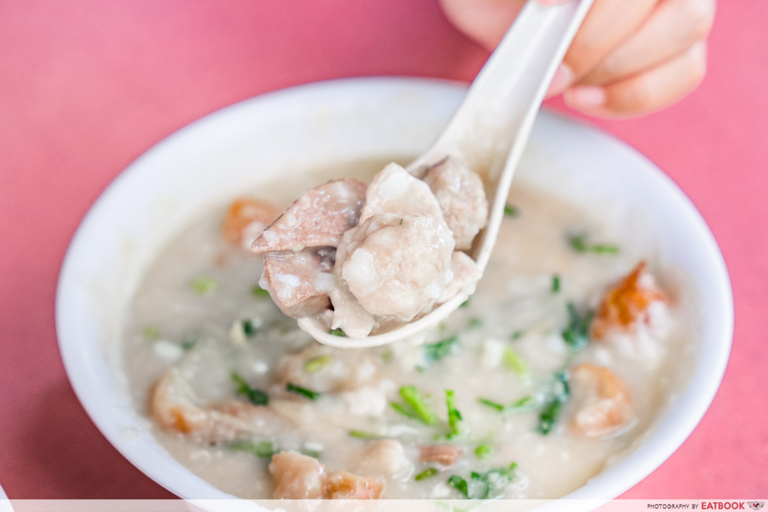 Mei Jie Porridge - mixed pork porridge