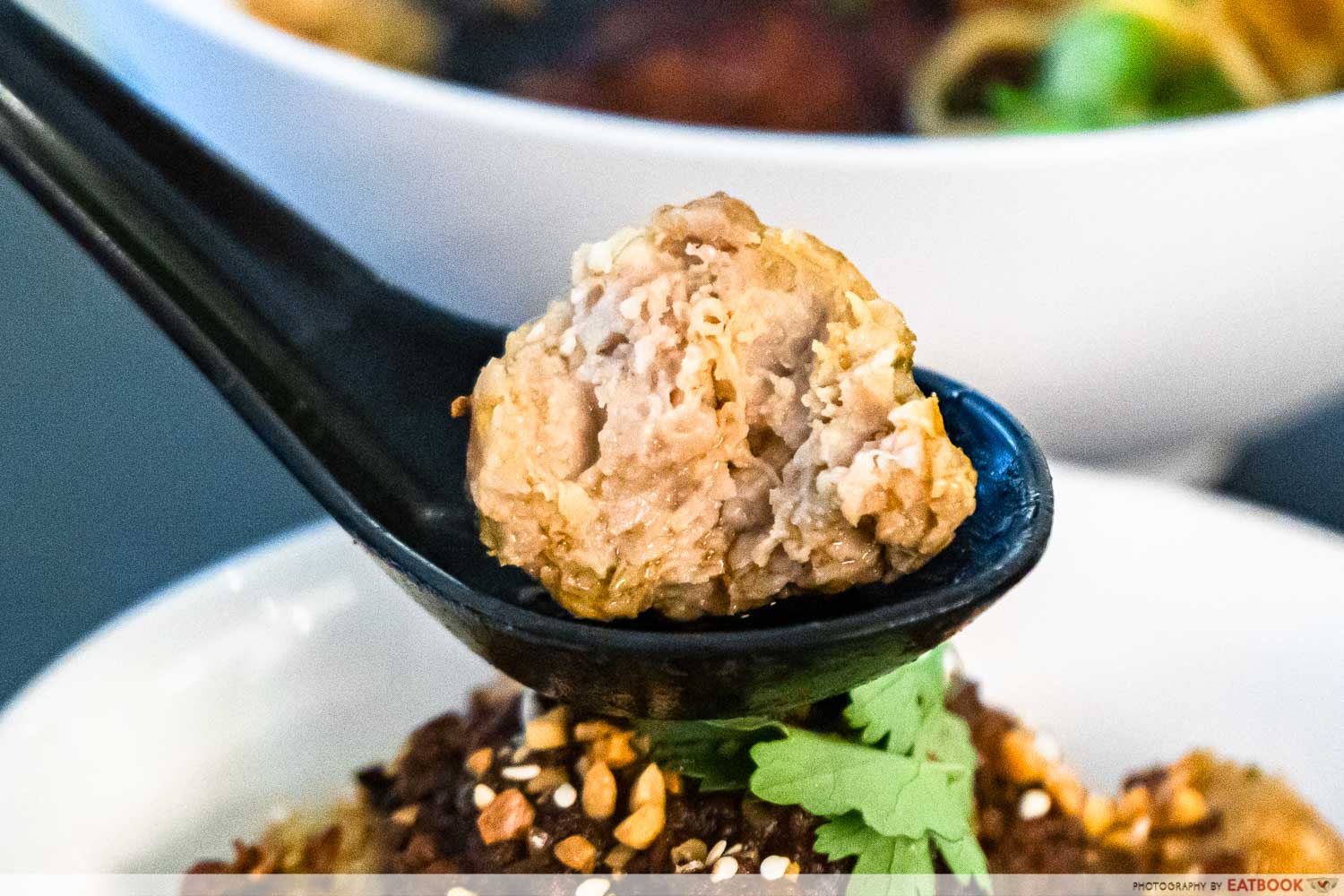 wanton seng's eating house - meatball