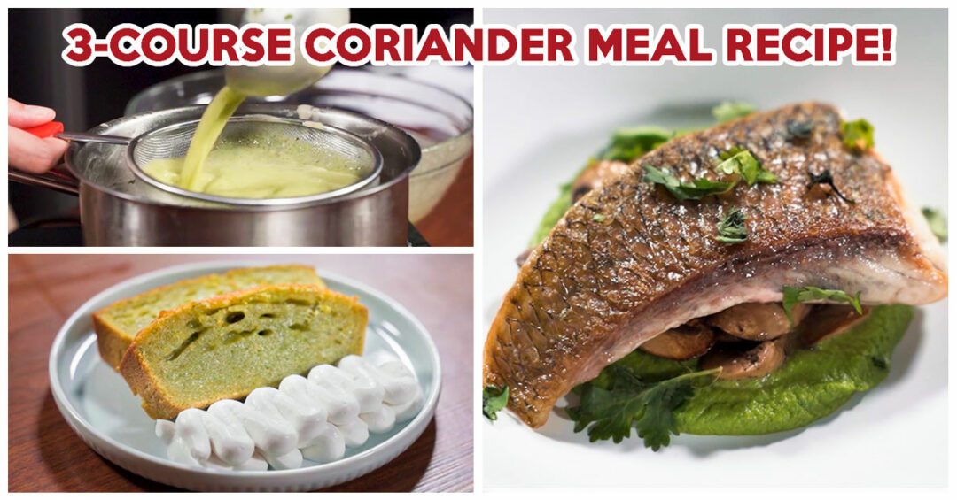3-COURSE-CORIANDER-MEAL-COVER