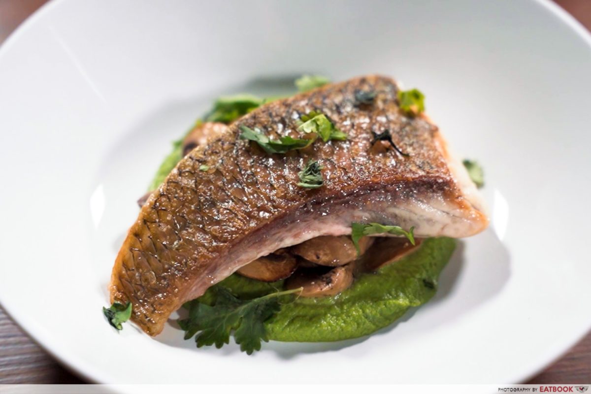 SEABASS WITH PEA PUREE INTRO