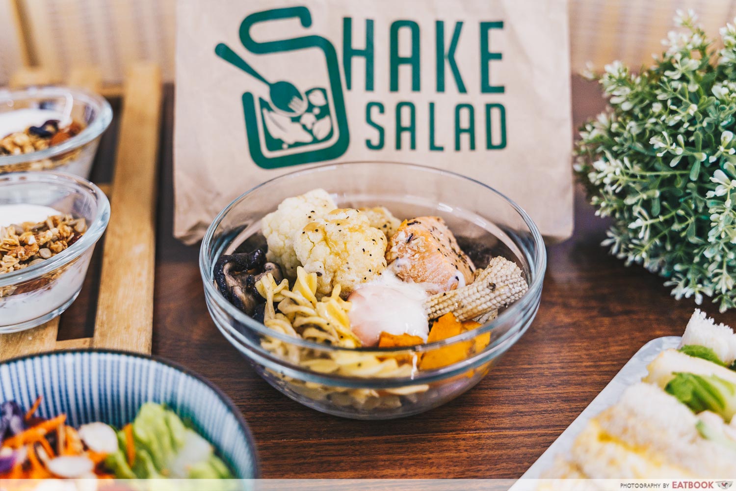 shake salad - salmon hearty bowl