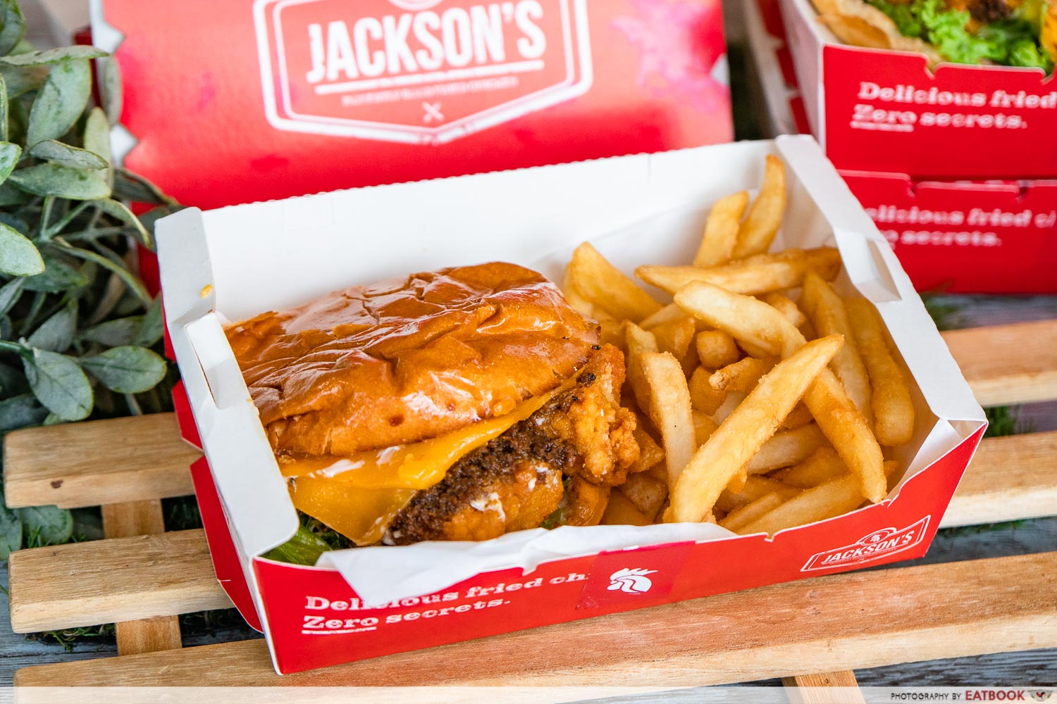 jackson's fried chicken - burger and fries