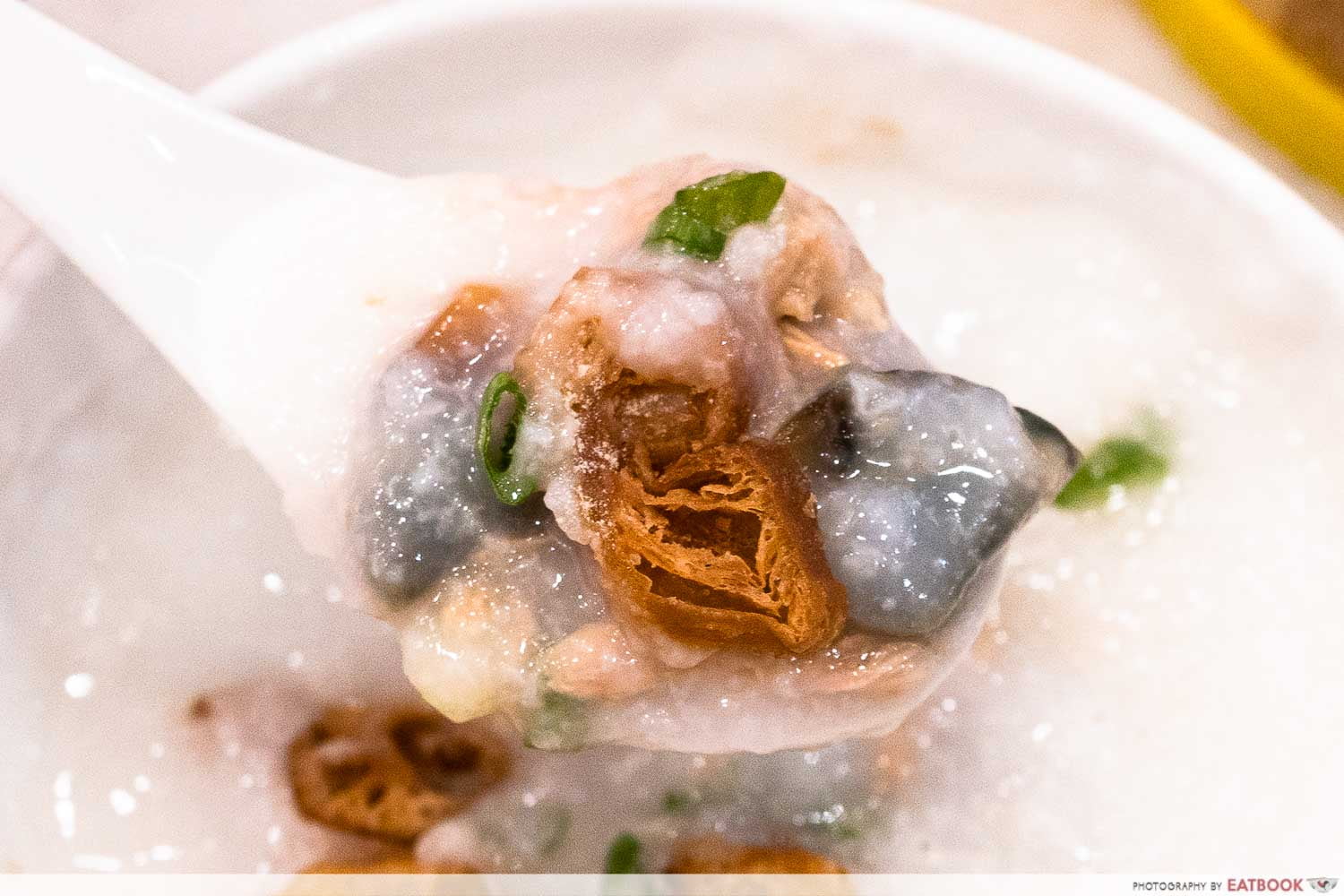 Lean Meat With Century Egg Congee